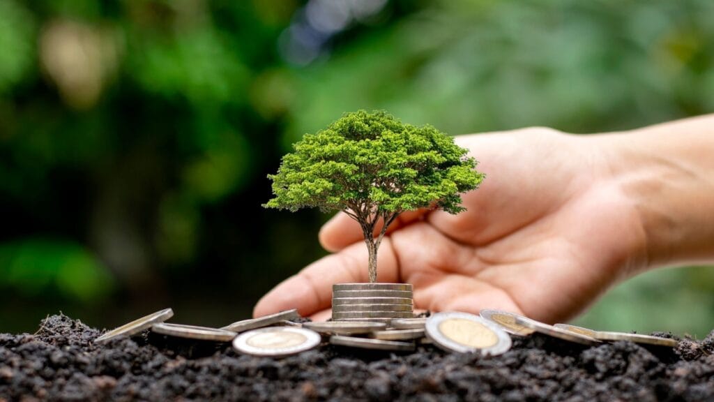Hibe Projelerinde Eş Finansman Nedir?