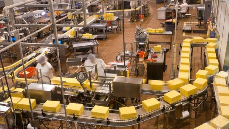 Robotik Teknolojilere Sağlanan Devlet Destekleri